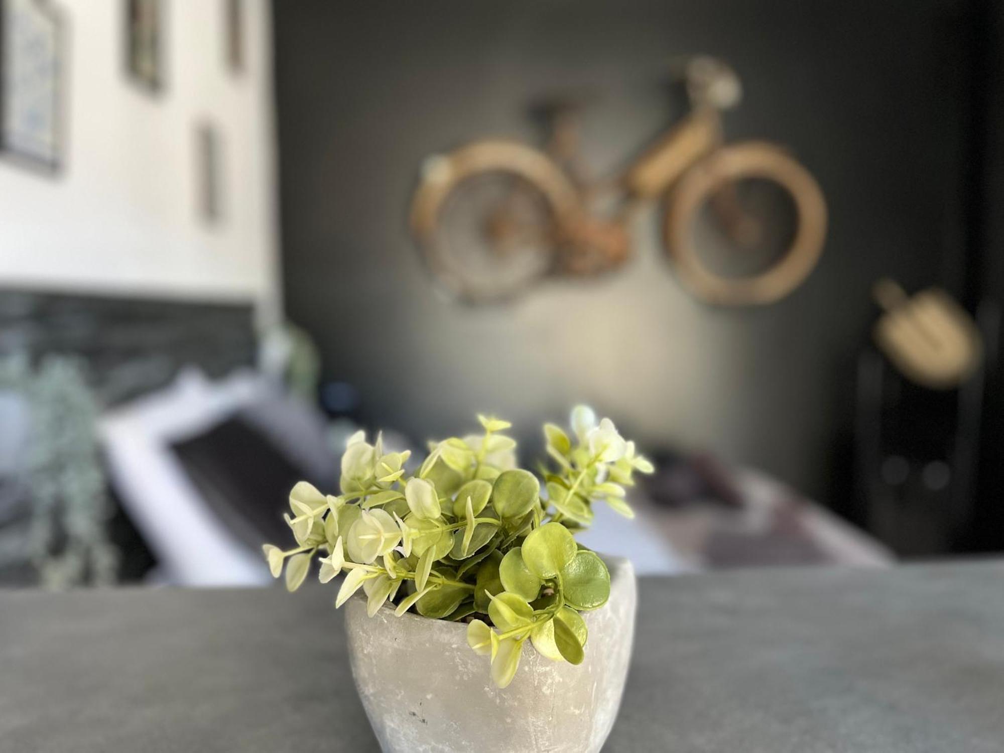"Le Maloya" Chalets Independants -Chambre Balneo - Relais Motards ลากูน ภายนอก รูปภาพ